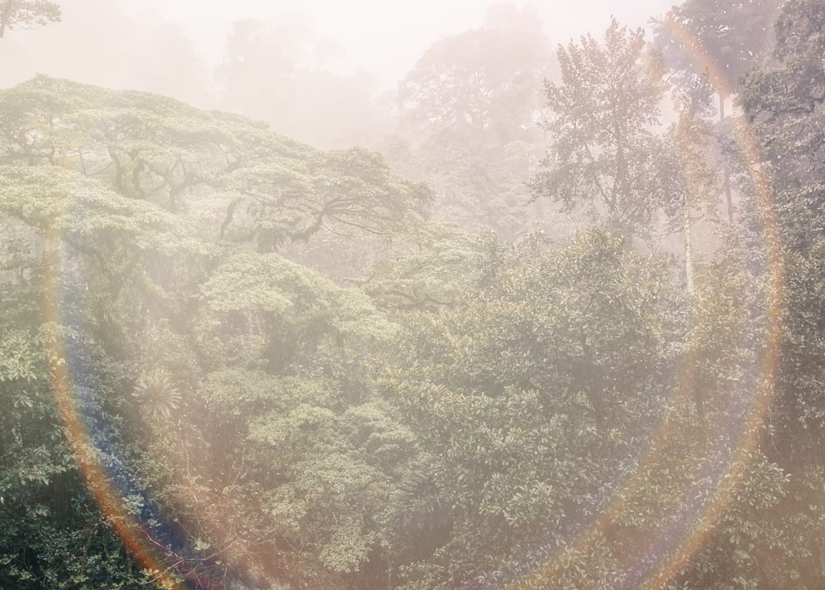 My new morning ritual